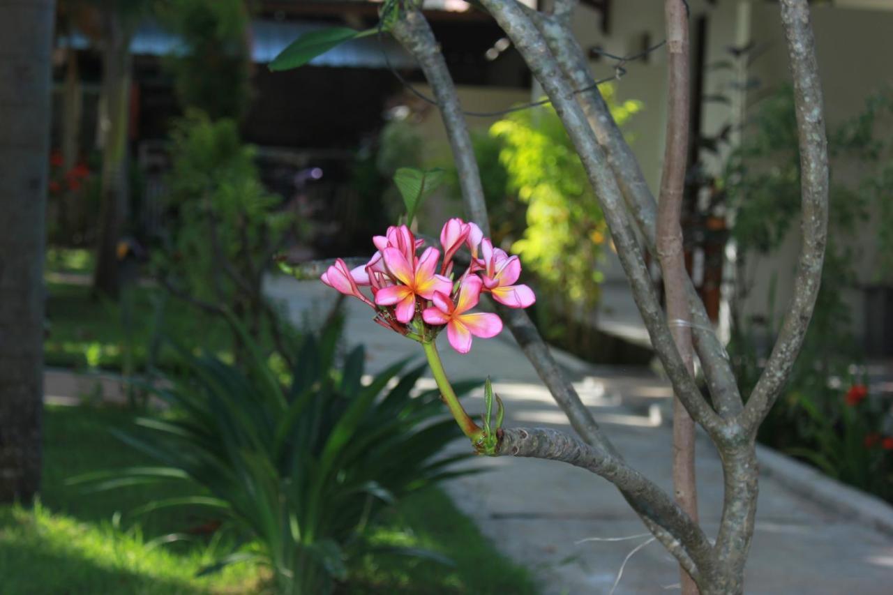 Herry Homestay Kuta  Εξωτερικό φωτογραφία