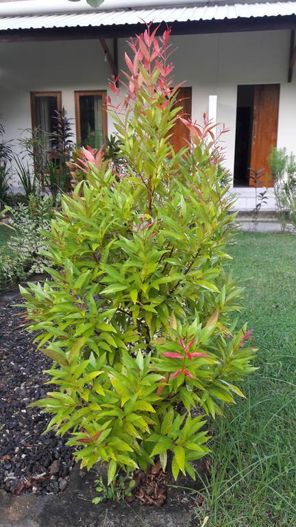 Herry Homestay Kuta  Εξωτερικό φωτογραφία