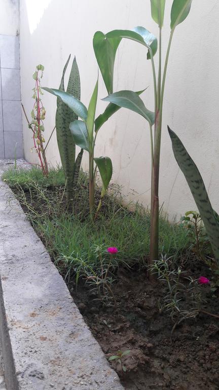 Herry Homestay Kuta  Εξωτερικό φωτογραφία